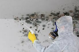 Why you should choose our mold remedi tion services in #city